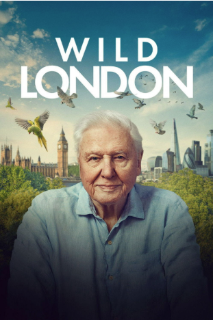 Wild London TV Special 2026 1h