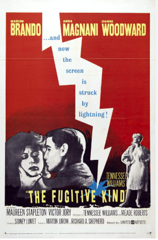 The Fugitive Kind 1960 ‧ Romance/Drama ‧ 1h 59m
