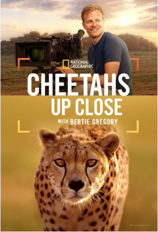 Cheetahs Up Close with Bertie Gregory 2026 45m