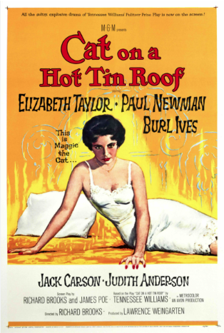 Cat on a Hot Tin Roof 1958 ‧ Drama/Melodrama ‧ 1h 48m