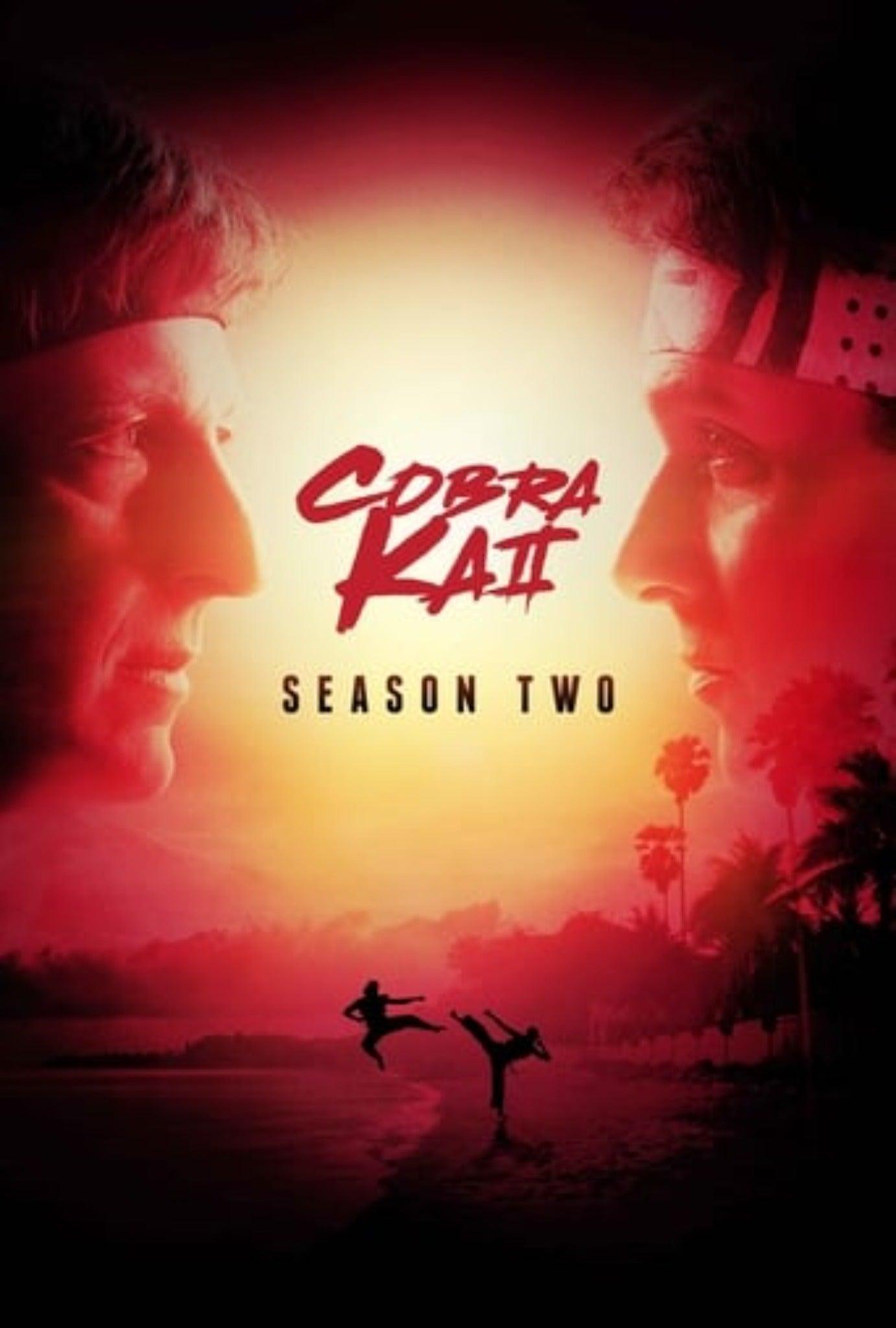 Cobra Kai Season 2 Complete Pack 2019 Action - Adventure - Drama - Comedy Kitchen World Supplies