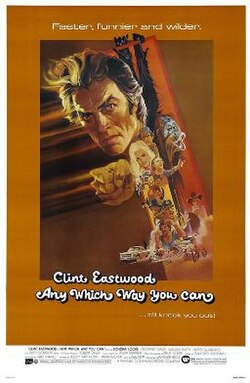 Any Which Way You Can 1980 ‧ Comedy/Action ‧ 1h 56m