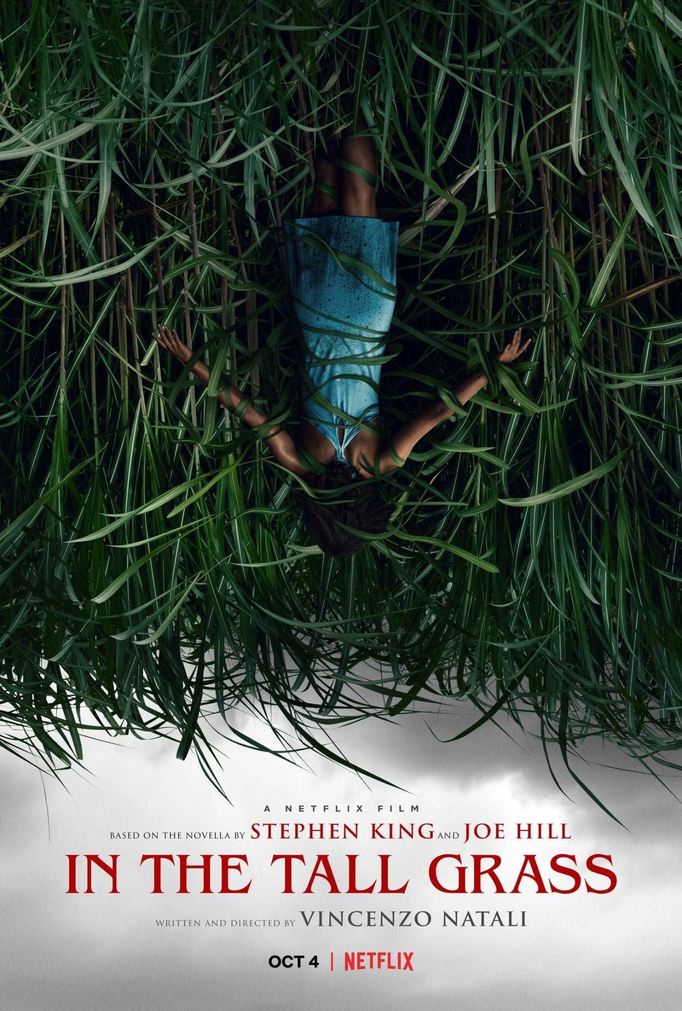 In the Tall Grass 2019 ‧ Horror/Drama ‧ 1h 30m