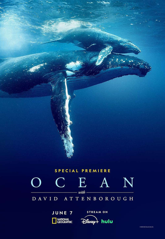 David Attenborough: Ocean 2025 ‧ Documentary ‧ 1h 35m
