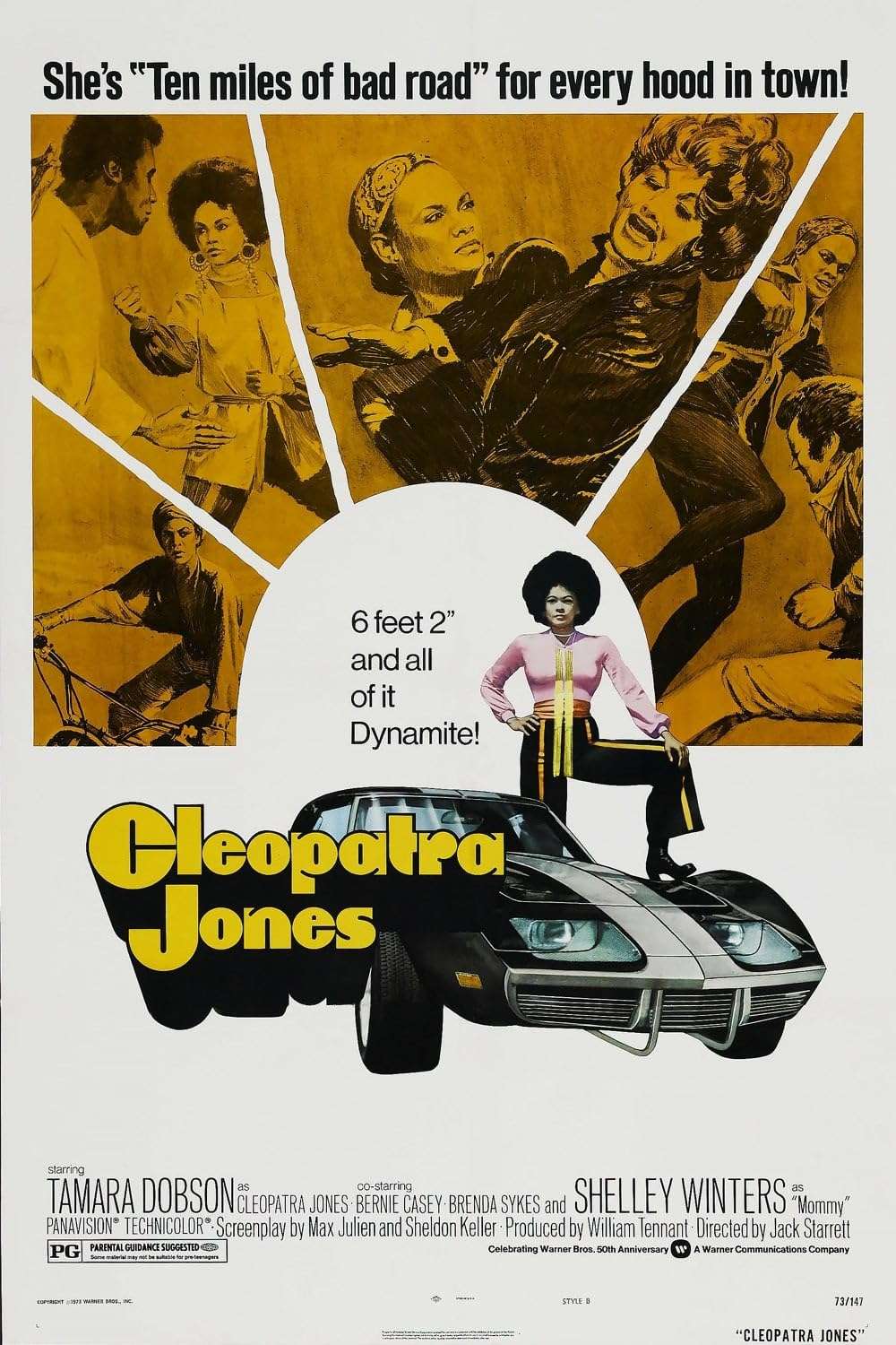 Cleopatra Jones 1973 ‧ Action/Crime ‧ 1h 29m