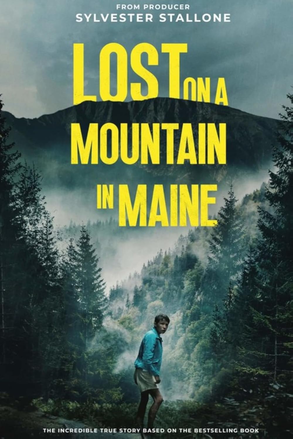 Lost on a Mountain in Maine 2024 ‧ Adventure/Drama ‧ 1h 38m