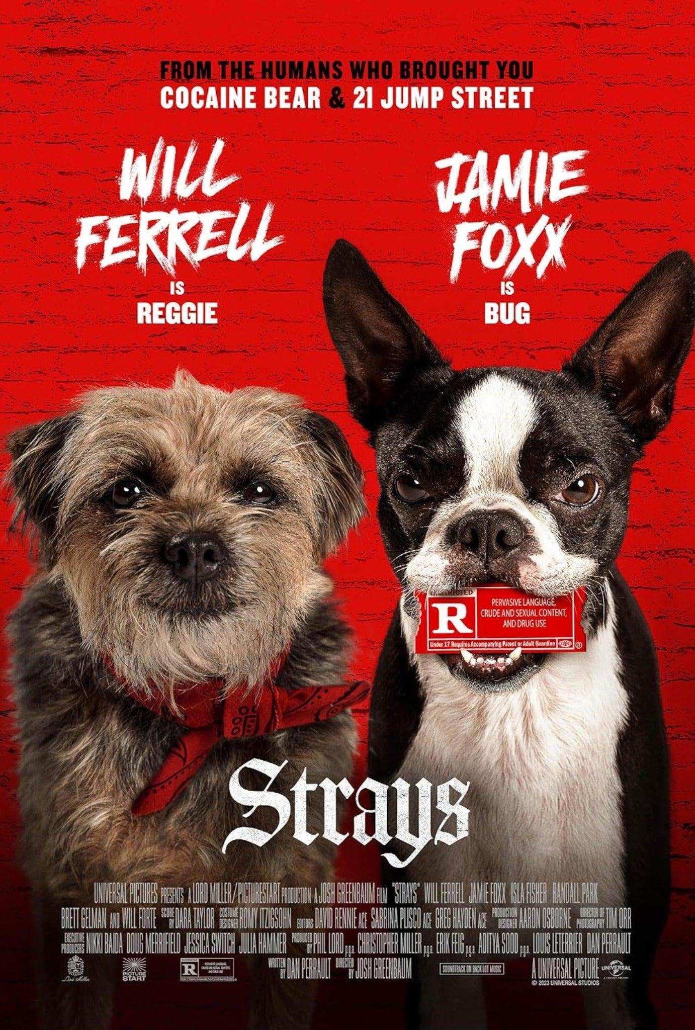 Strays 2023 ‧ Comedy/Adventure ‧ 1h 33m Kitchen World Supplies