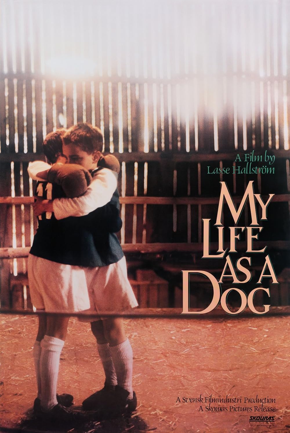 My Life as a Dog 1985 ‧ Comedy/Drama ‧ 1h 41m