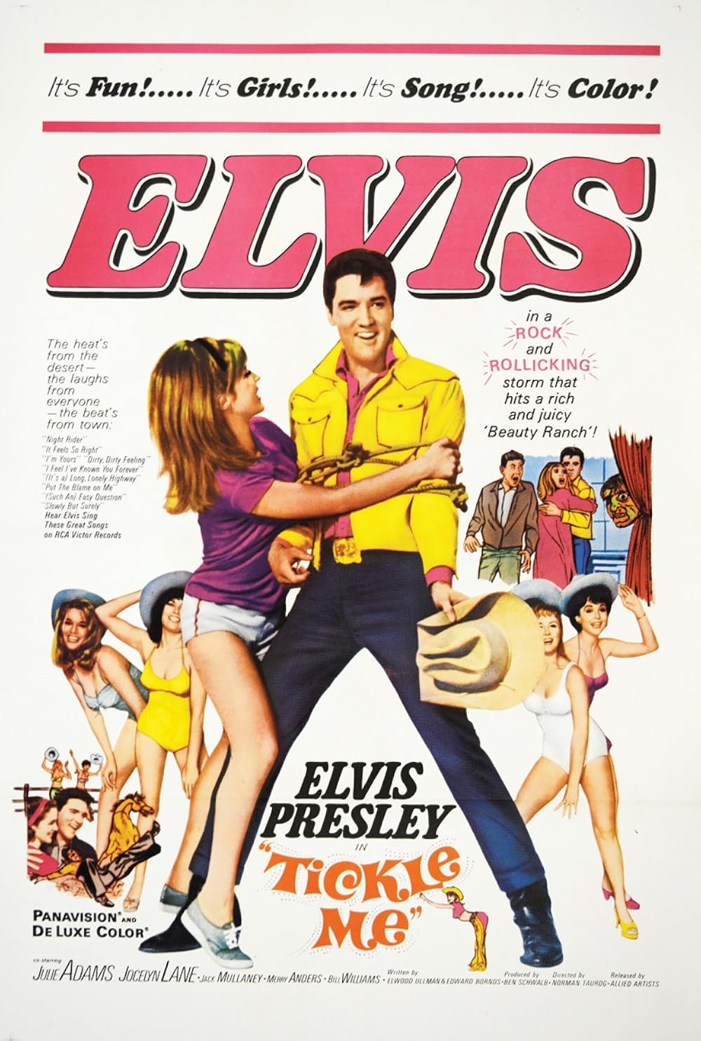 Tickle Me 1965 ‧ Musical/Comedy ‧ 1h 31m