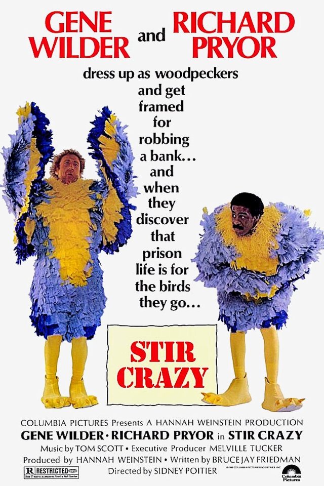 Stir Crazy 1980 ‧ Comedy/Thriller ‧ 1h 51m