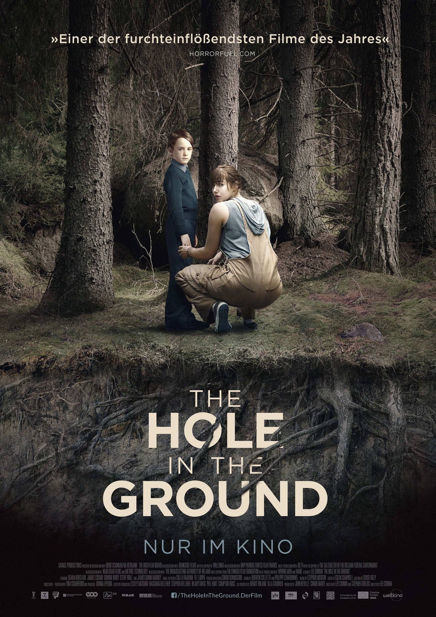 The Hole in the Ground 2019 ‧ Horror/Mystery ‧ 1h 30m