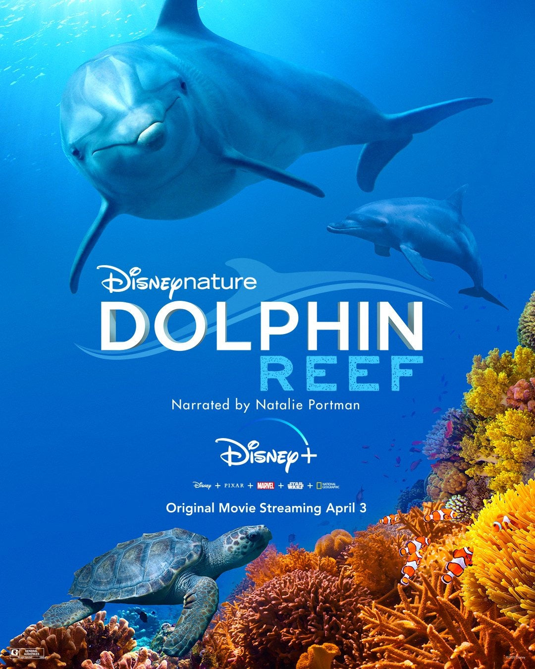Dolphin Reef 2018 ‧ Documentary/Nature documentary ‧ 1h 18m