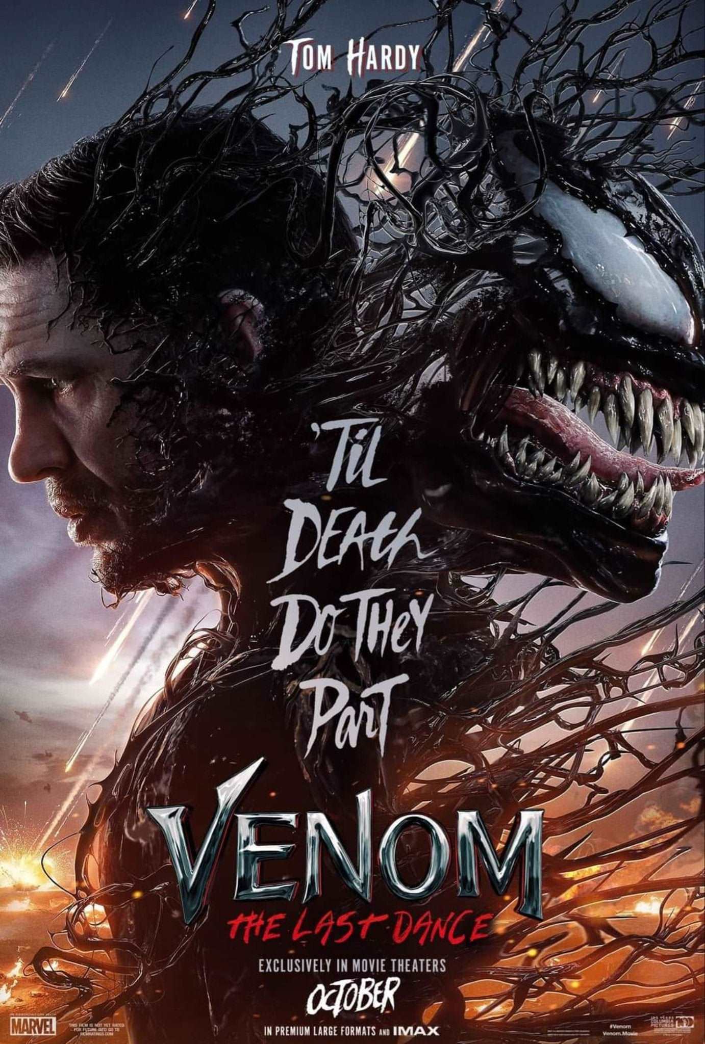 Venom: The Last Dance 2024 ‧ Action/Sci-fi ‧ 1h 49m