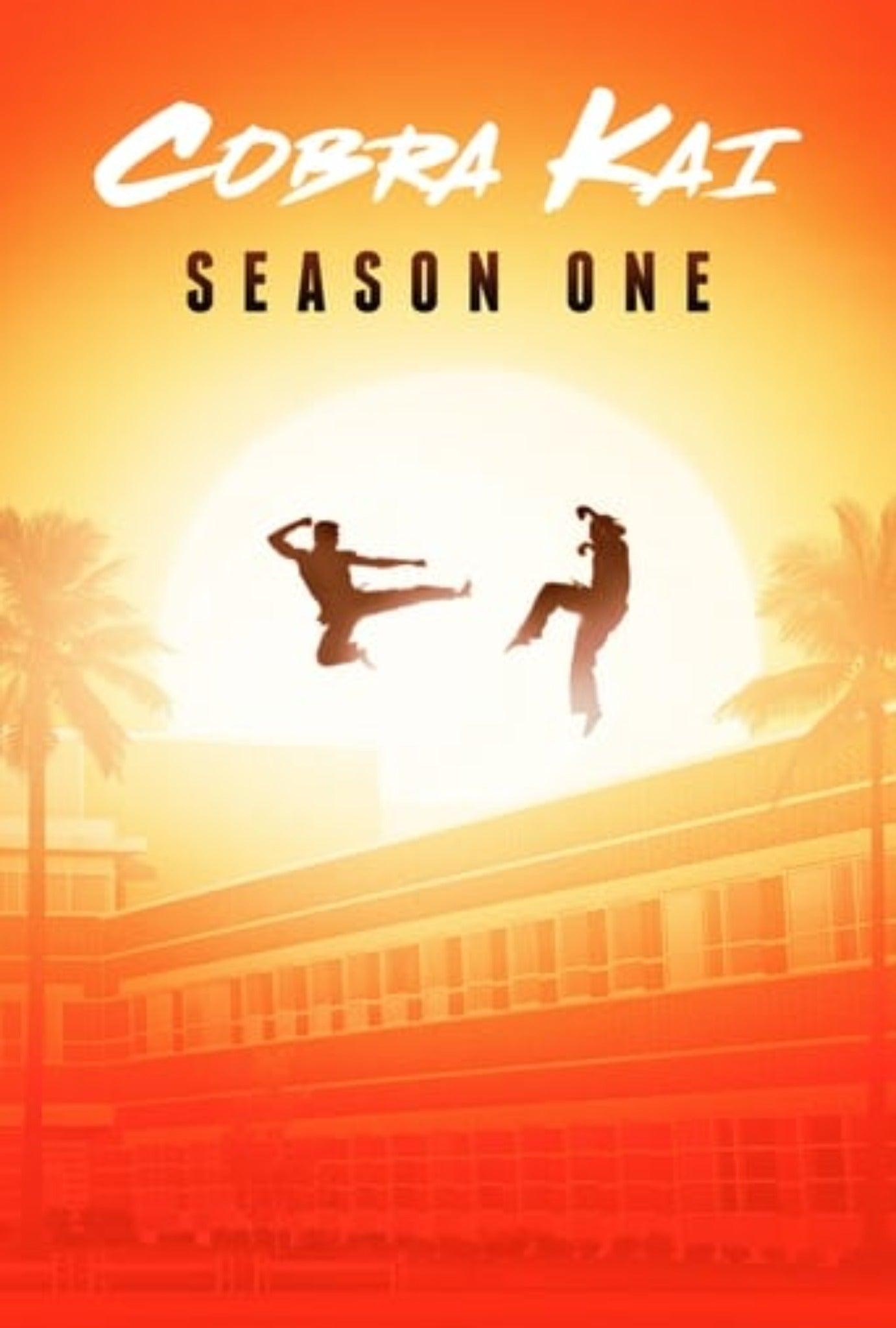 Cobra Kai Season 1 Complete Pack 2018 Action - Adventure - Drama - Comedy Kitchen World Supplies