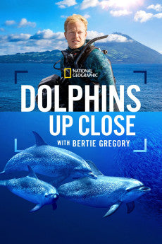 Dolphins Up Close with Bertie Gregory 2025 Action