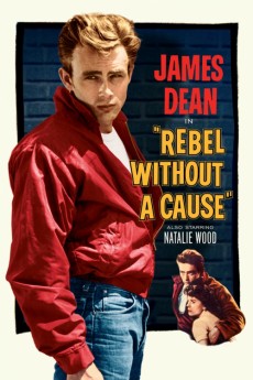 Rebel Without a Cause 1955 Action / Drama