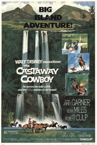 The Castaway Cowboy 1974 ‧ Family/Western ‧ 1h 31m