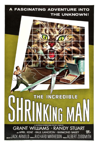 The Incredible Shrinking Man 1957 ‧ Sci-fi/Horror ‧ 1h 21m