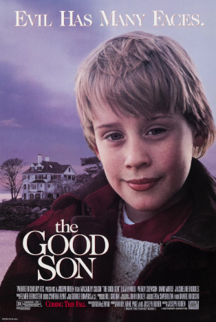 The Good Son 1993 ‧ Horror/Drama ‧ 1h 27m
