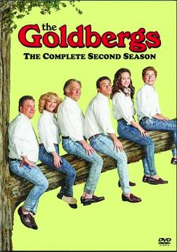 The Goldbergs 2013 ‧ Sitcom | seasons 2