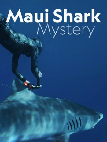 Maui Shark Mystery TV Special 2022