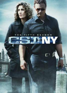CSI: NY 2004 ‧ Drama seasons 5