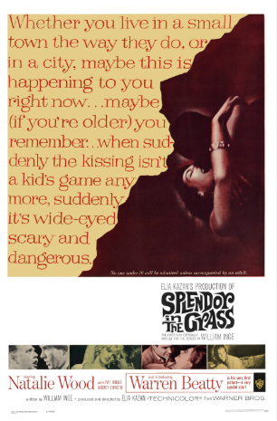 Splendor in the Grass 1961 ‧ Romance/Drama ‧ 2h 4m