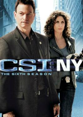 CSI: NY 2004 ‧ Drama seasons 6