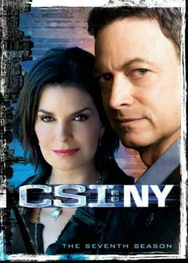 CSI: NY 2004 ‧ Drama seasons 7