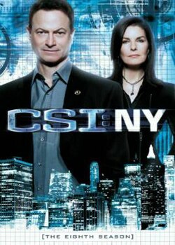 CSI: NY 2004 ‧ Drama seasons 8