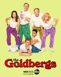 The Goldbergs 2013 ‧ Sitcom | seasons 8
