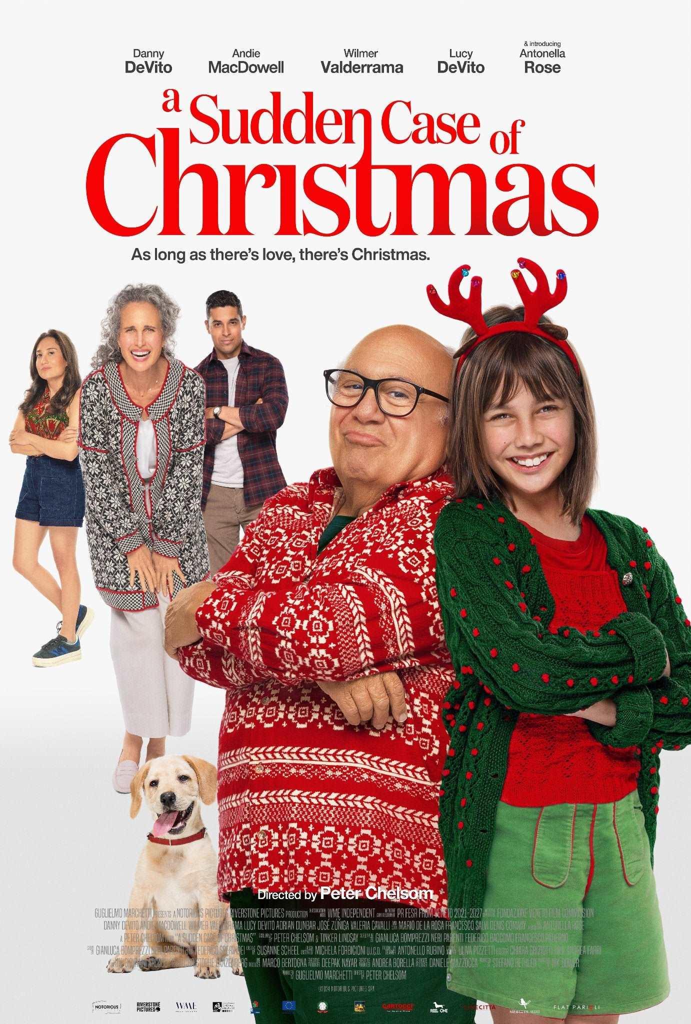 A Sudden Case of Christmas 2024 ‧ Comedy/Family ‧ 1h 31m