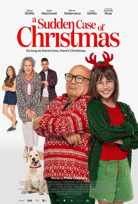 A Sudden Case of Christmas 2024 ‧ Comedy/Family ‧ 1h 31m