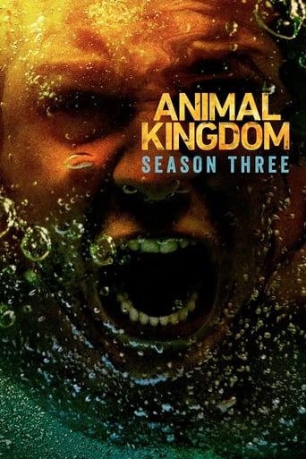 Animal Kingdom Season 3 Complete Pack 2018 Crime - Drama