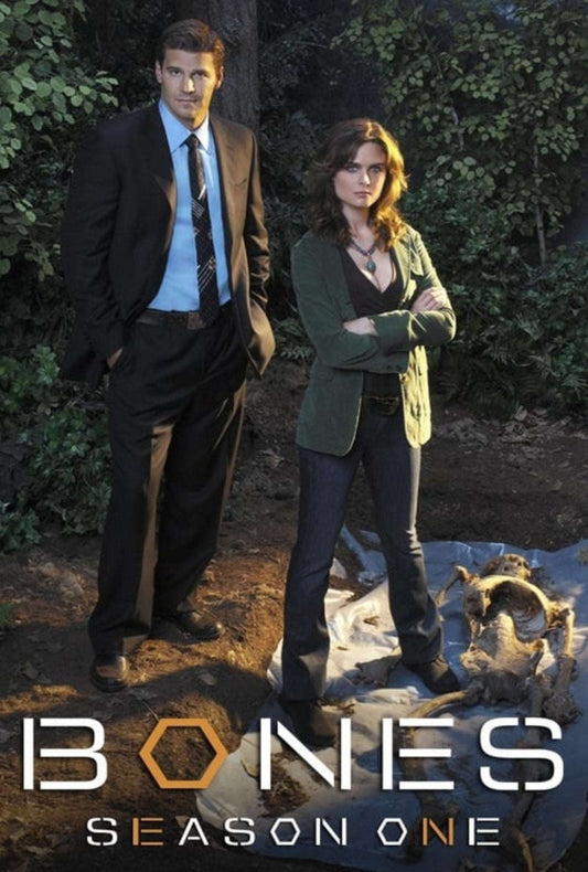 Bones Season 1 Pilot  2005 Crime - Drama