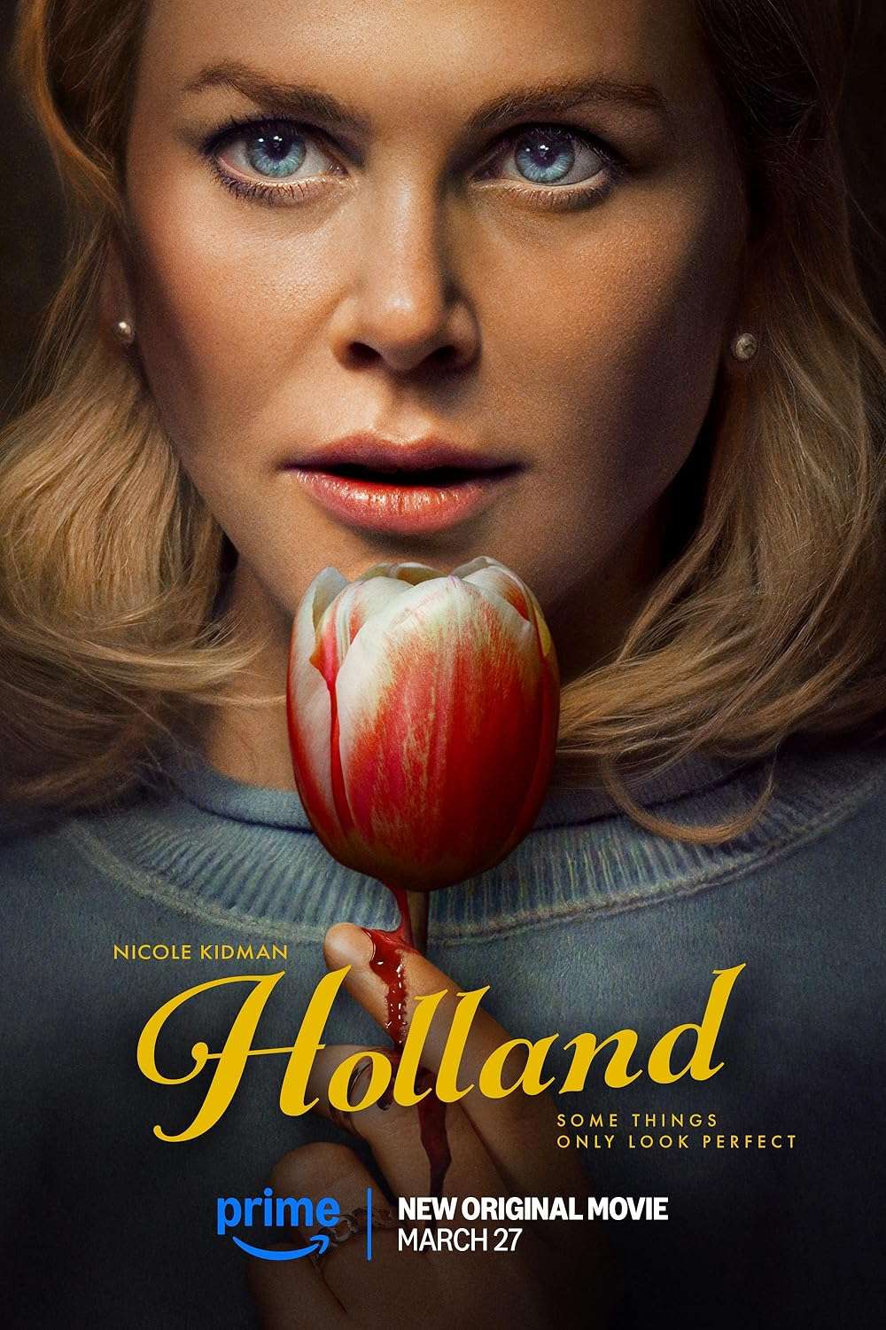 Holland 2025 ‧ Thriller/Drama ‧ 1h 48m