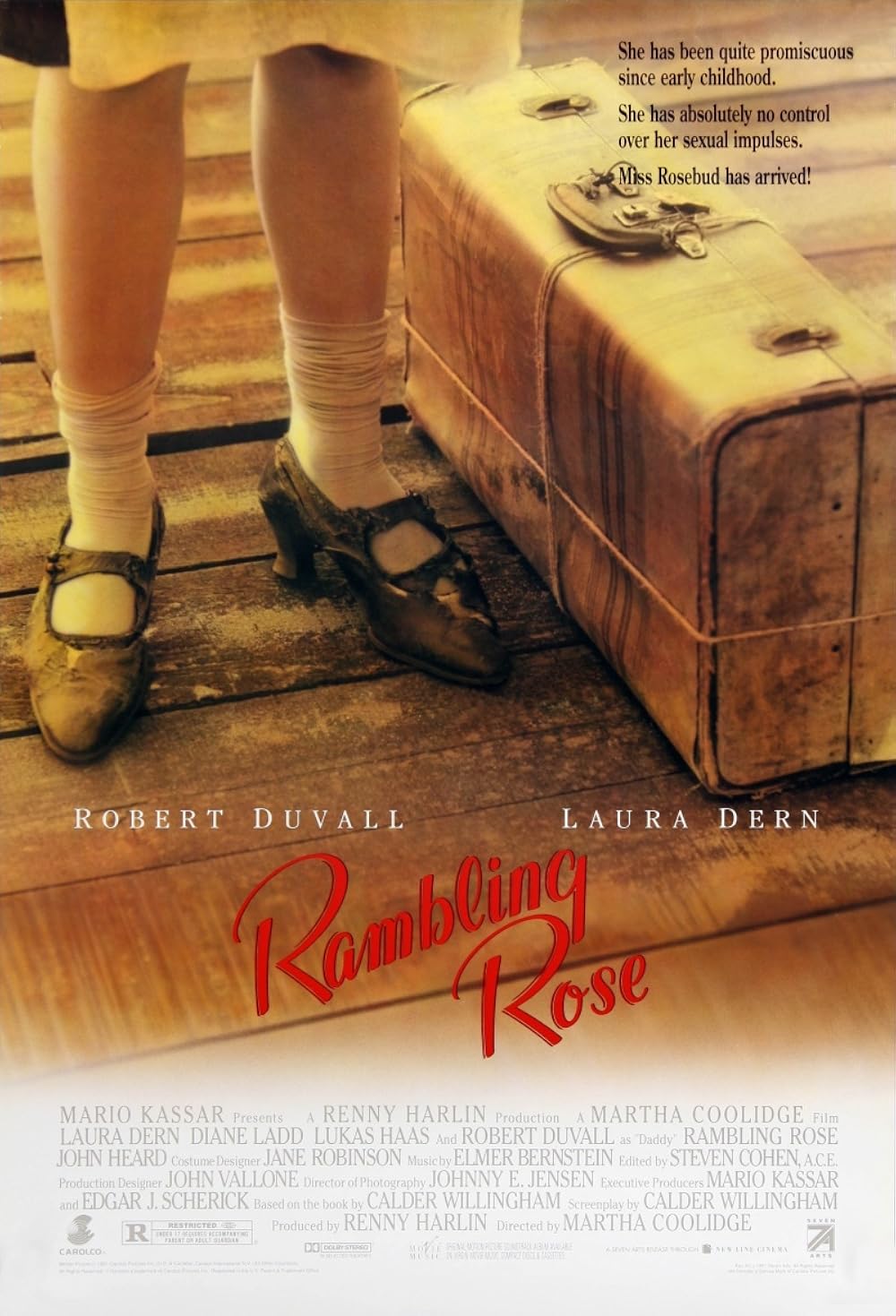 Rambling Rose 1991 ‧ Drama/Drama ‧ 1h 52m