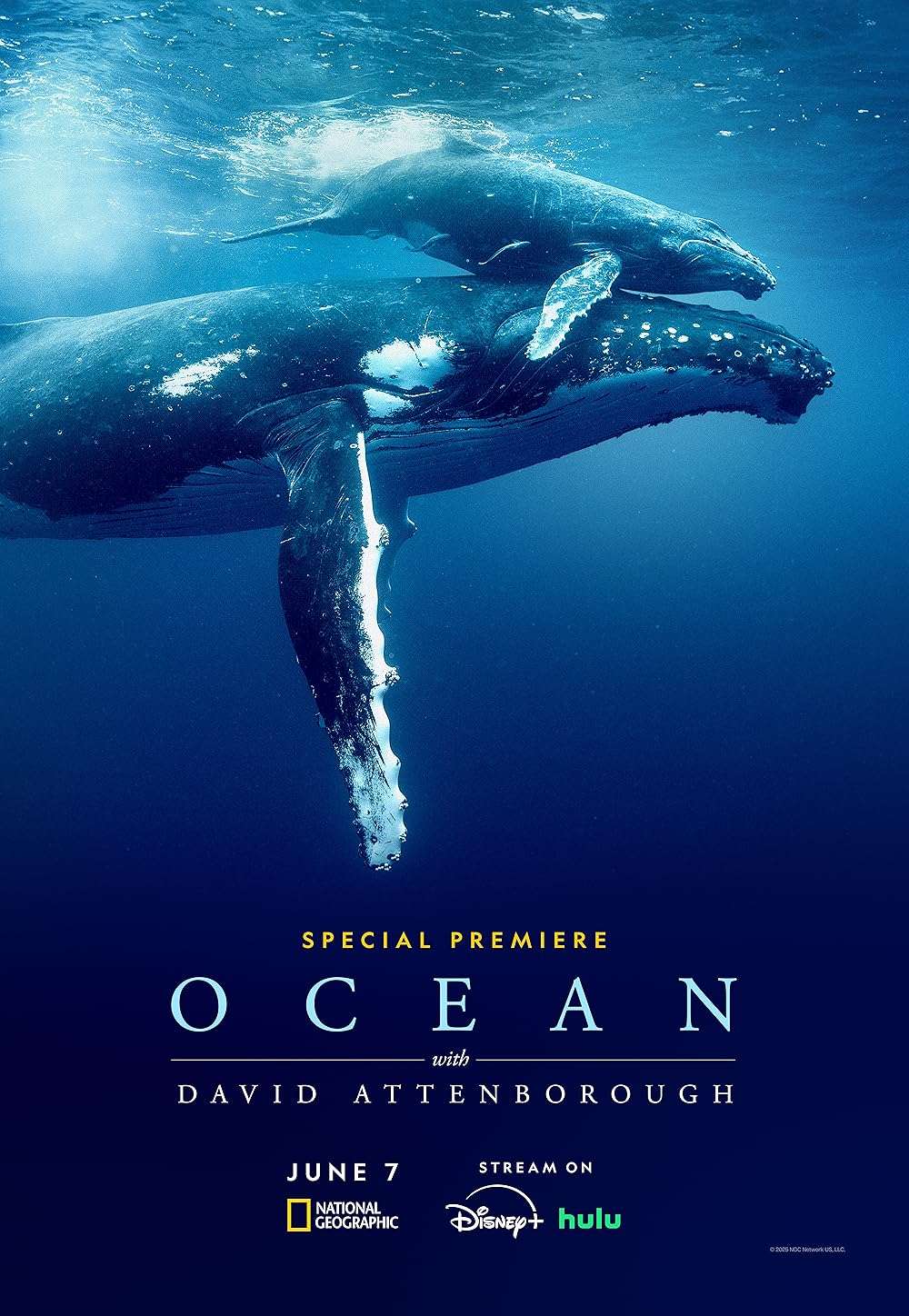 David Attenborough: Ocean 2025 ‧ Documentary ‧ 1h 35m