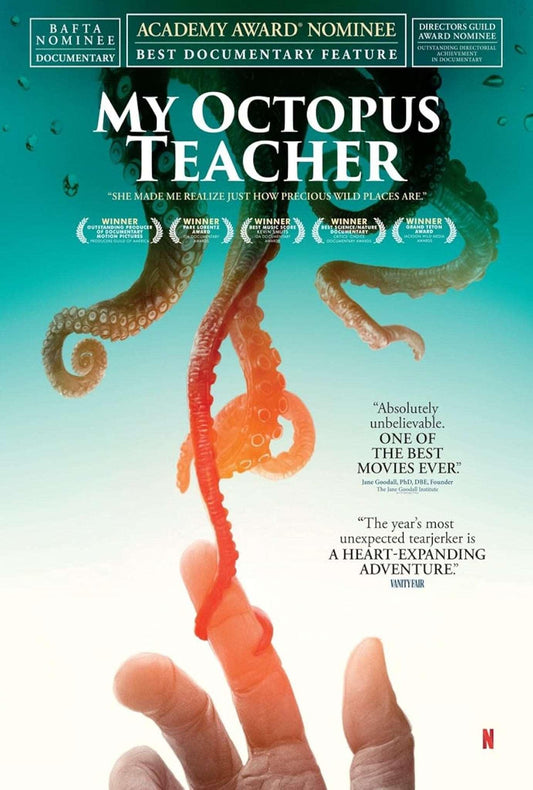 My Octopus Teacher 2020 | Documentary/Thriller | 1h 30m - Kitchen World Supplies