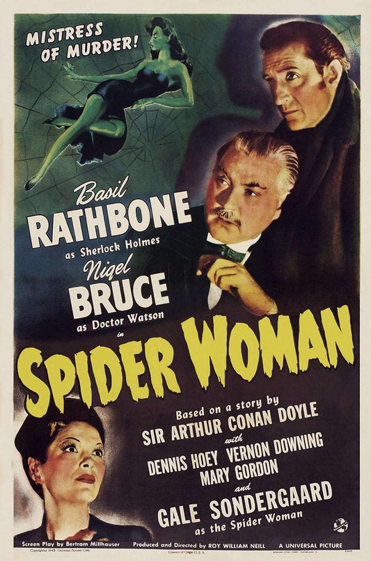 The Spider Woman 1943 ‧ Mystery/Mystery ‧ 1h 3m