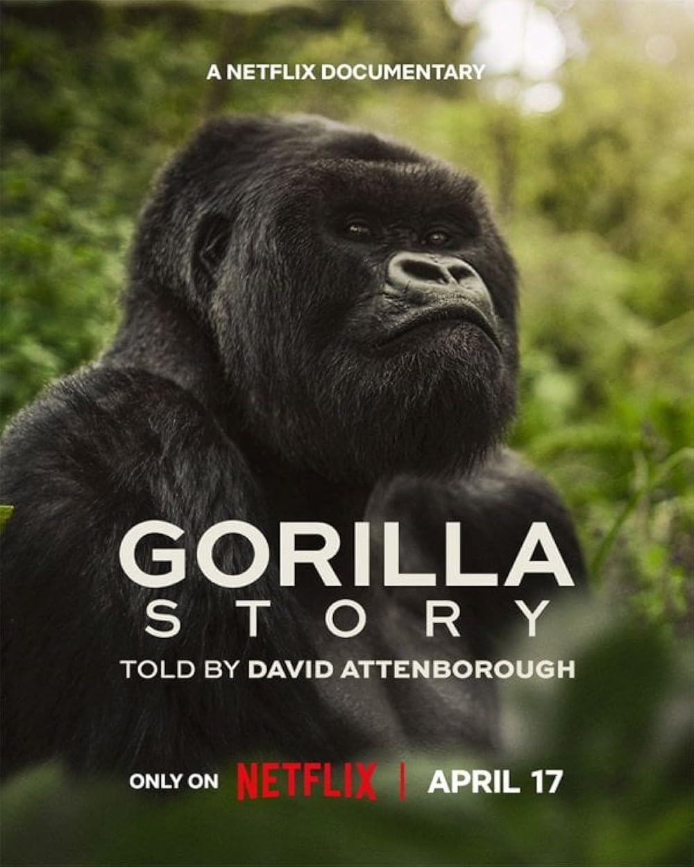 A Gorilla Story: Told by David Attenborough Movie 2026