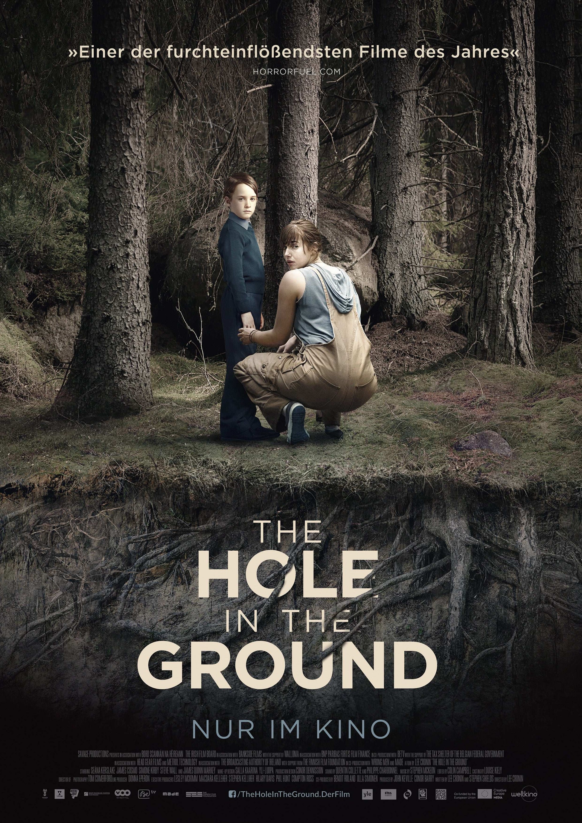 The Hole in the Ground 2019 ‧ Horror/Mystery ‧ 1h 30m