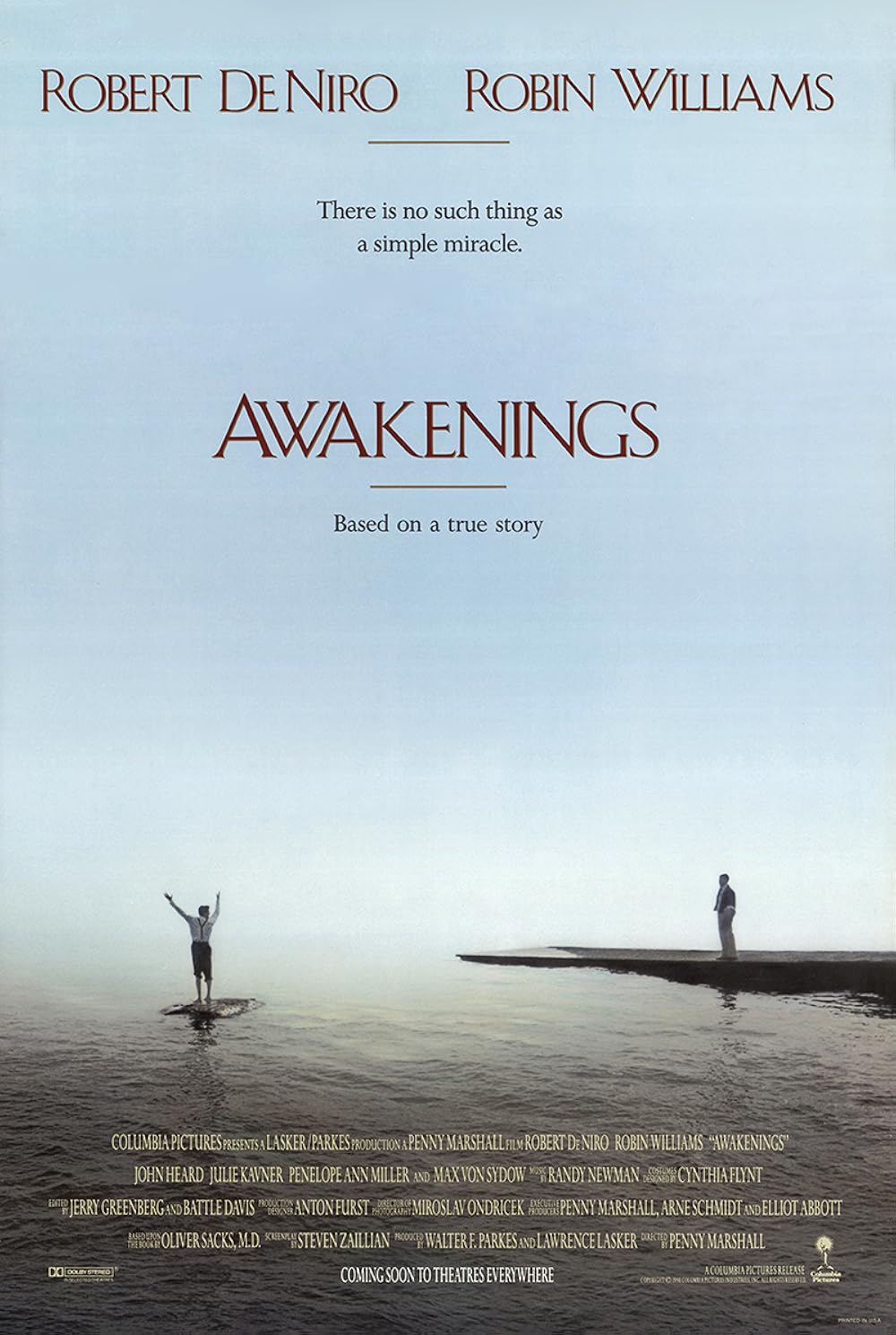 Awakenings 1990 ‧ Drama/Melodrama ‧ 2h 1m