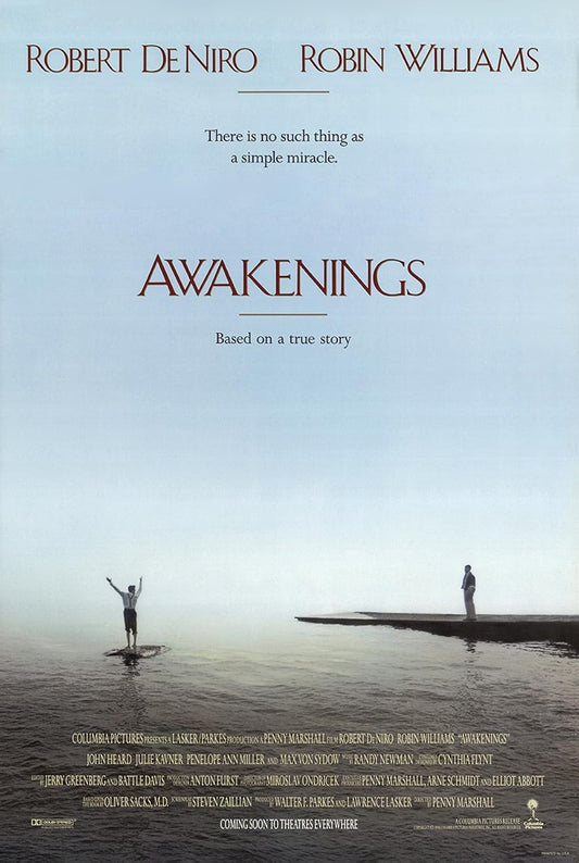 Awakenings 1990 ‧ Drama/Melodrama ‧ 2h 1m