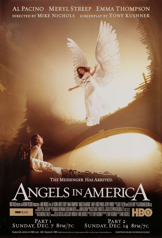 Angels in America 2003 ‧ Drama ‧ 1 season