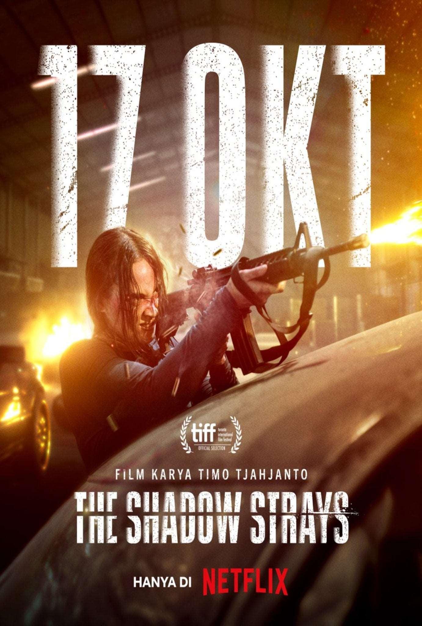 The Shadow Strays 2024 ‧ Action/Crime ‧ 2h 24m