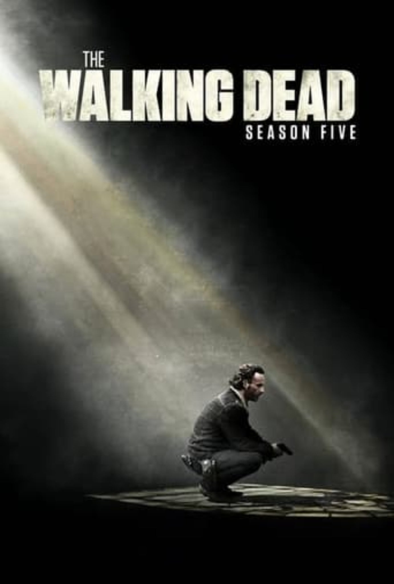 The Walking Dead Season 5 Complete Pack 2014 Action - Adventure - Drama - Sci-Fi - Fantasy